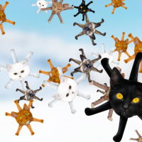 catflakes (just because..) 